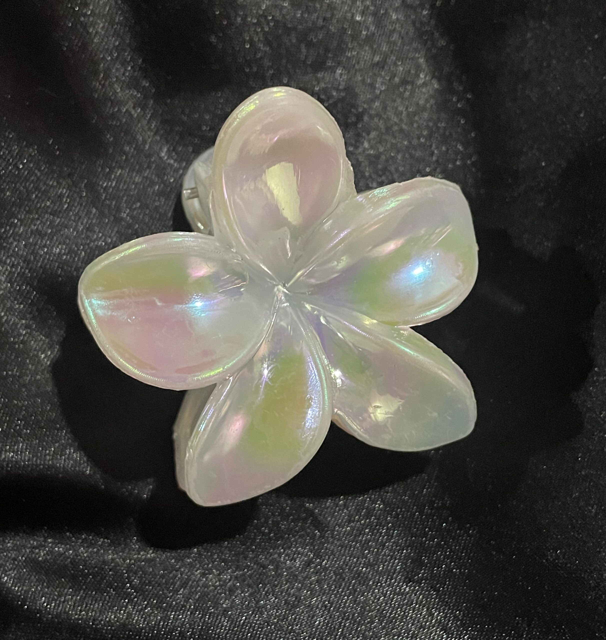 Pearl Flower White Claw