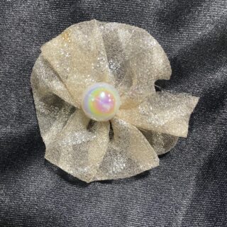 Sparkle with Glitter Hair Clips